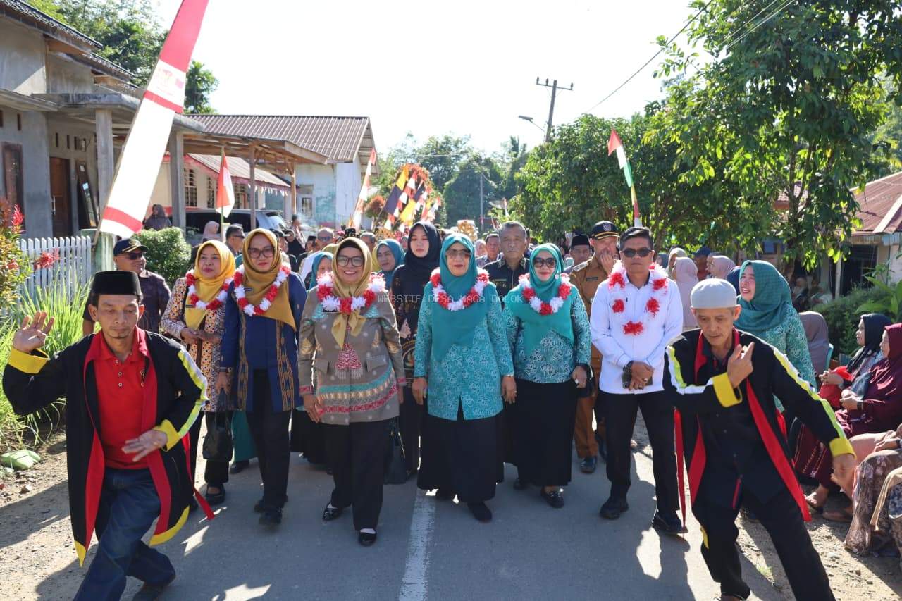 EVALUSI DESA BINAAN MAGA DOLOK KATEGORI AKU HATINYA PKK